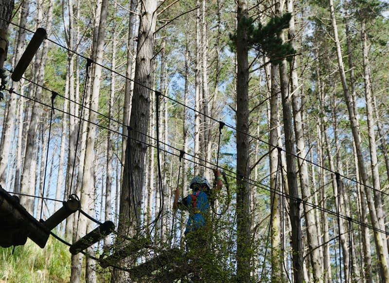 Parcours accrobranche dans les arbres, en forêt