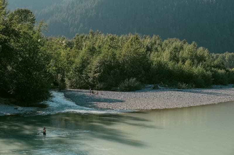Baignade en rivière le long d'une plage de galets bordée d'arbres