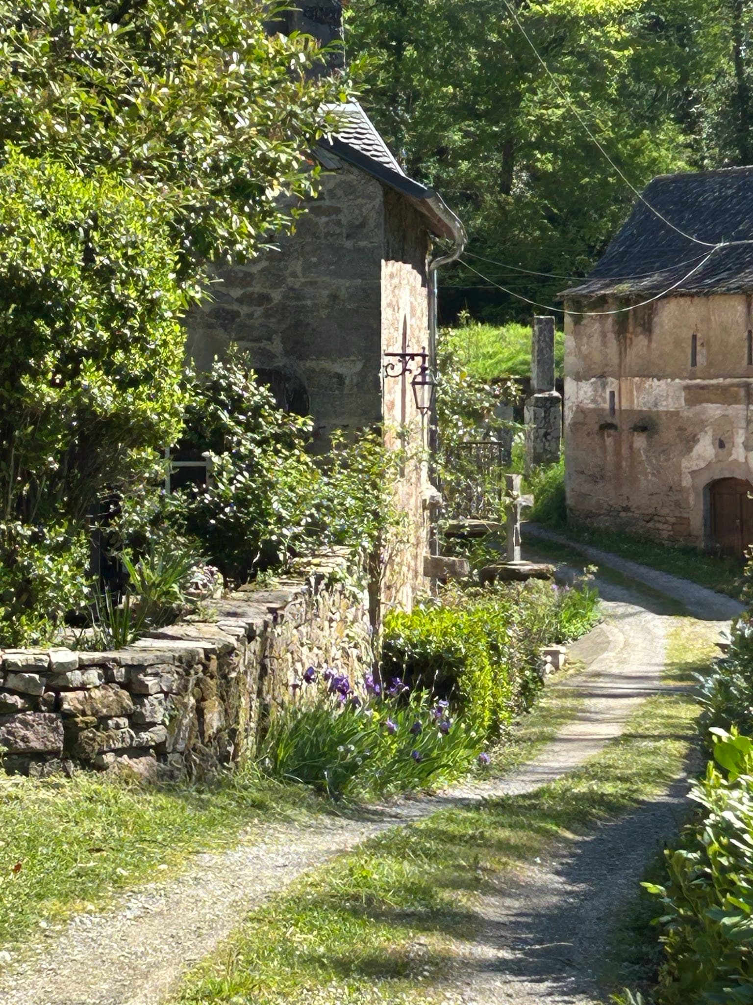 Sentier bordé d'iris au hameau du moulin, départ de randonnée vers le GR 36