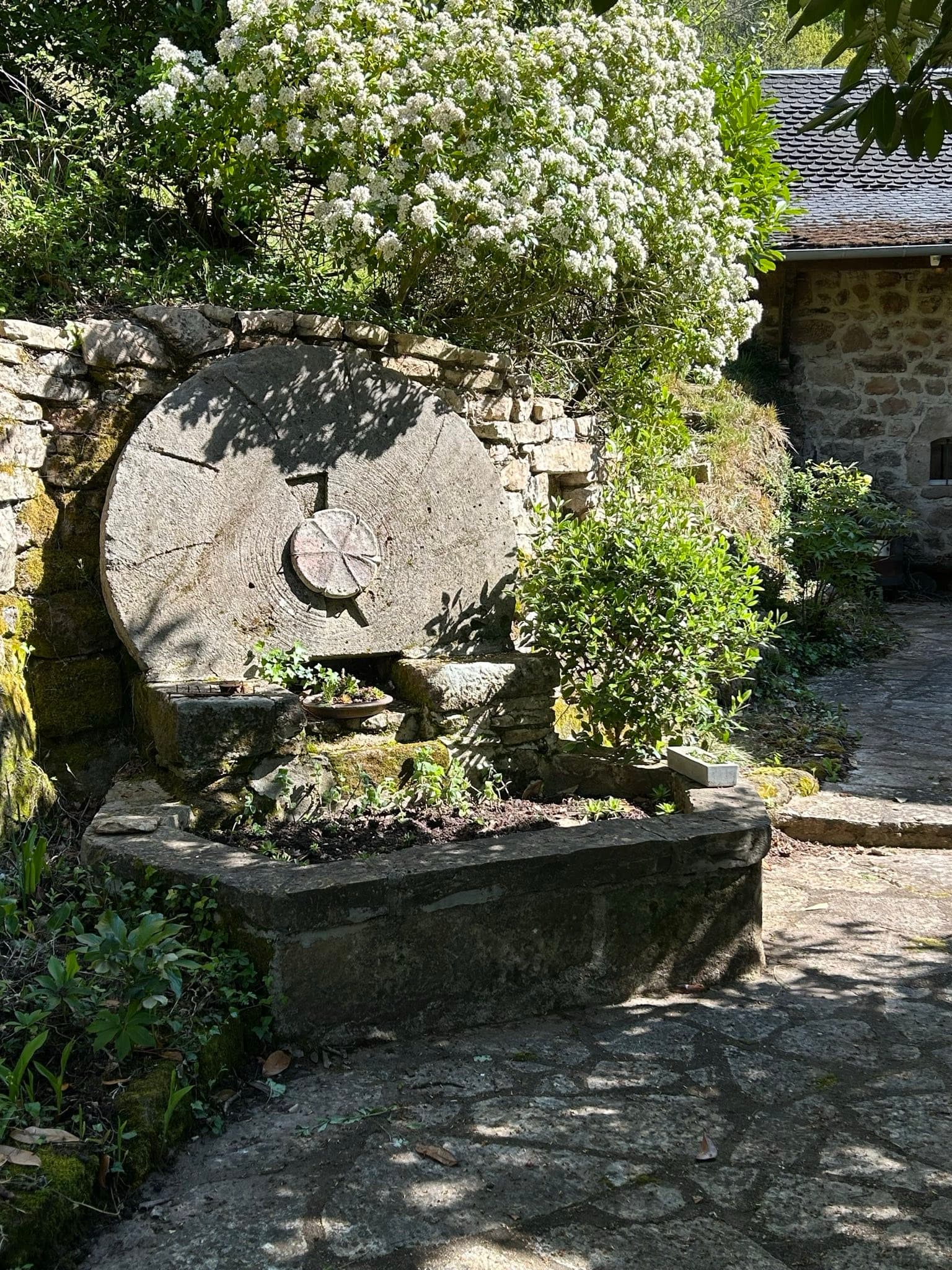 L'ancienne meule du moulin dressée en fontaine fleurie
