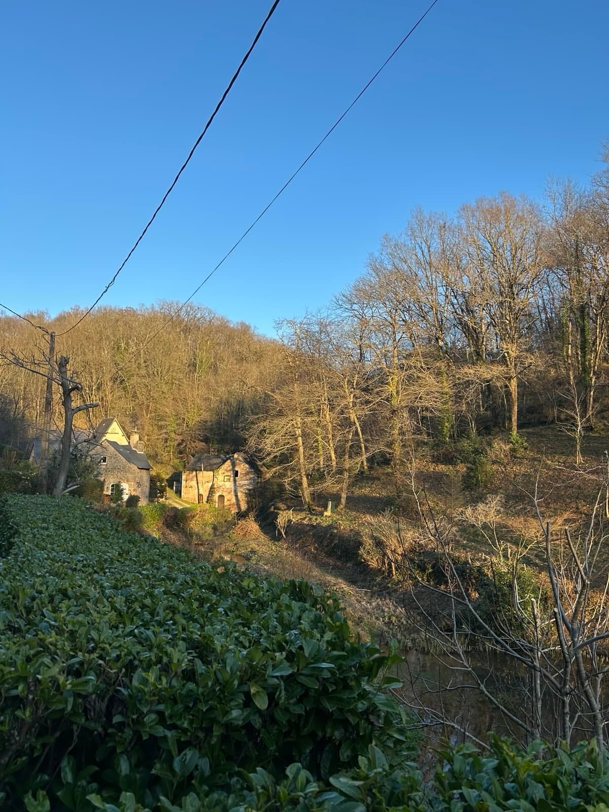 Vallon boisé autour du moulin, au départ des boucles de randonnée